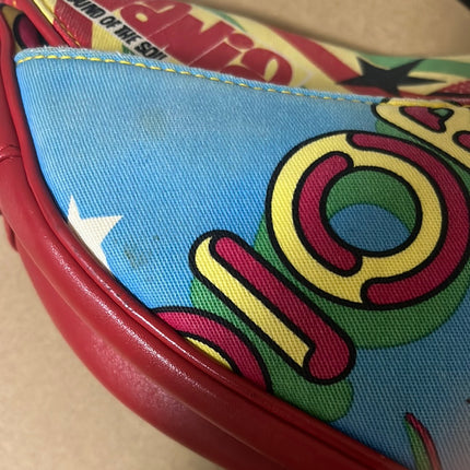 Dior Saddle bag Bob Marley Design by John Galliano detail