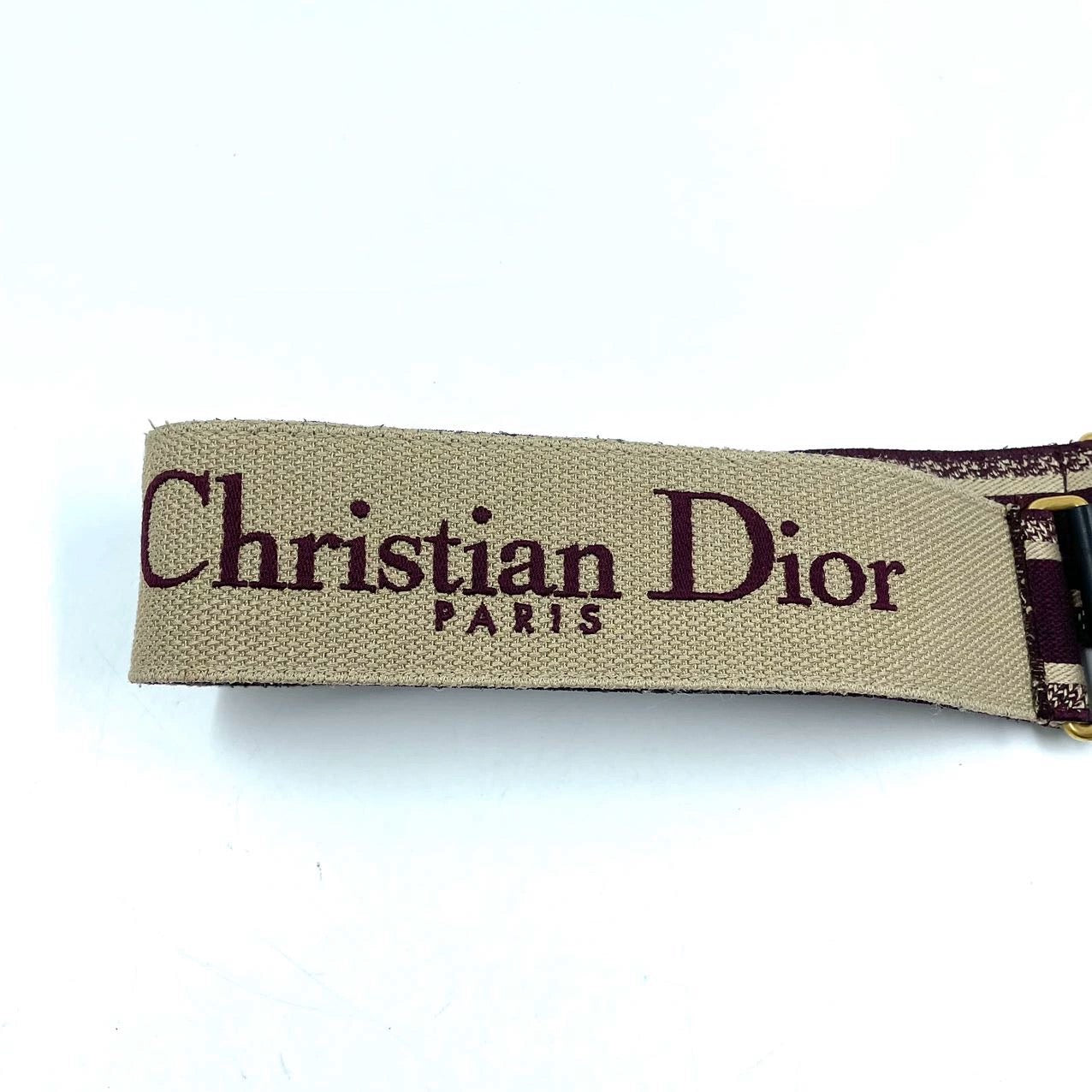 Christian dior saddle outlet strap