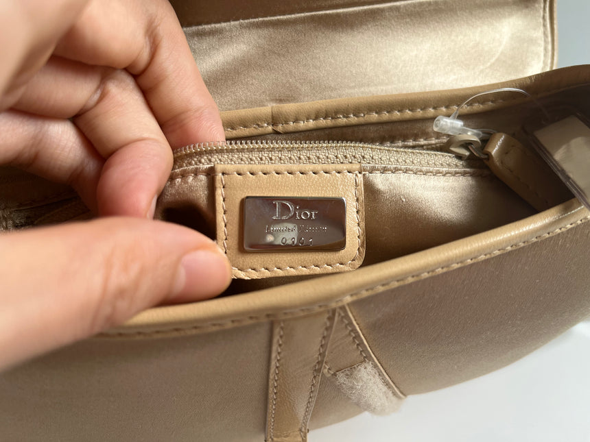 Dior Saddle Mini Silk beige with crystals embellishment limited edition